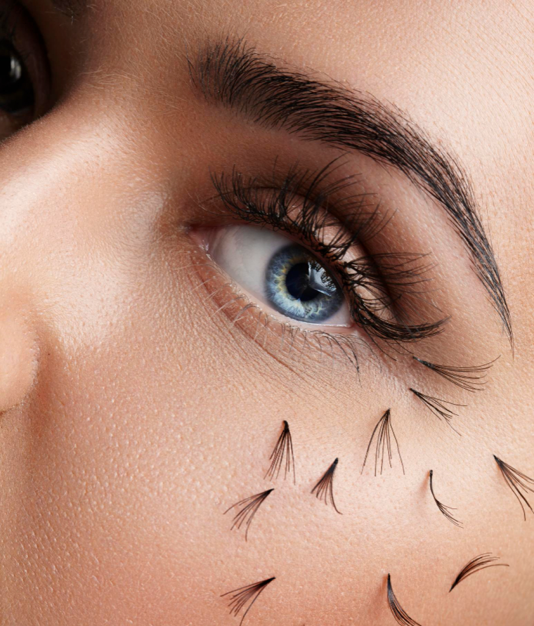 Lash Lift – lash Perm